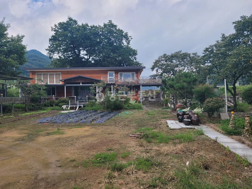 경상북도 청도군 풍각면 단독/전원주택 사진 1