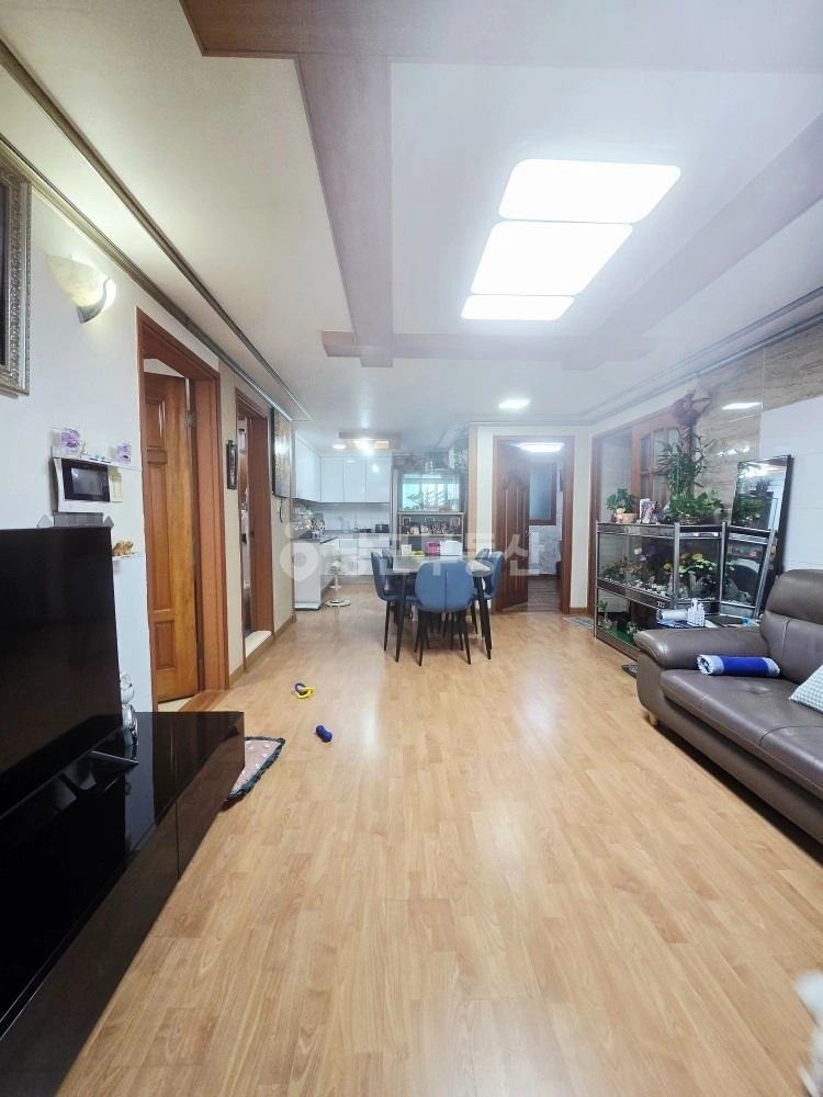 경기도 안산시 상록구 이동 빌라(투룸 이상) 사진 1