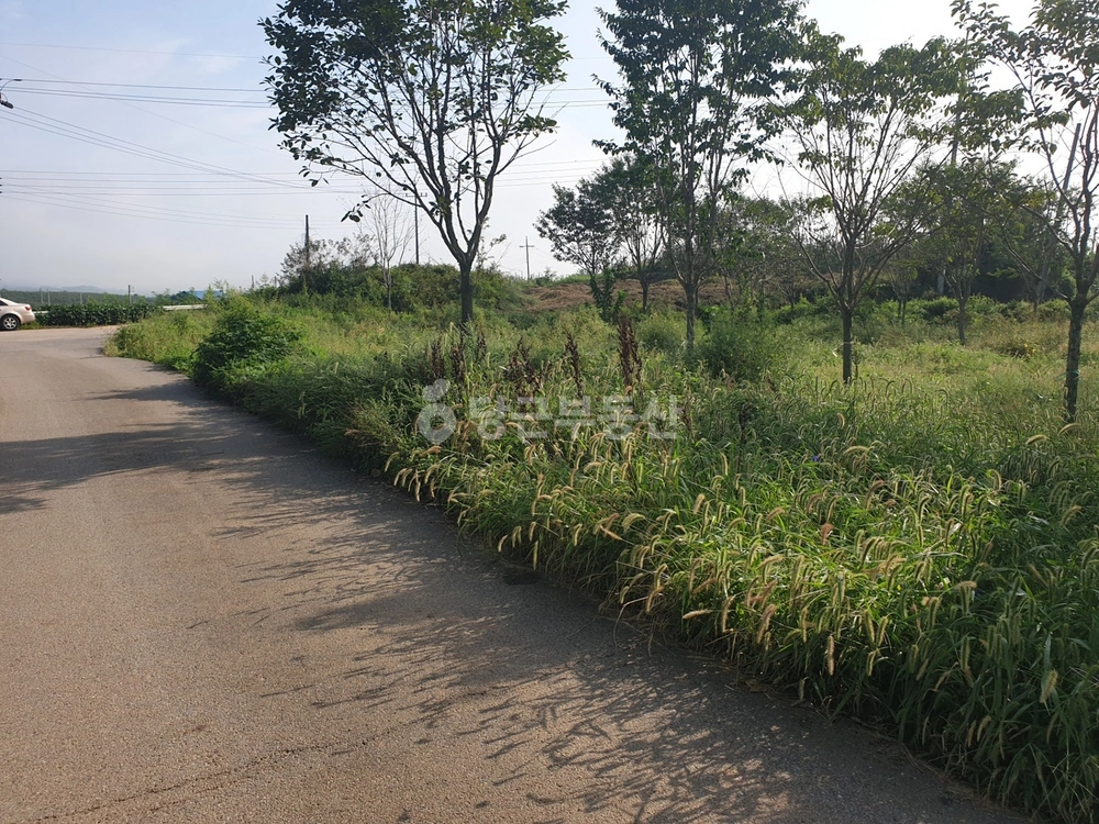 충청남도 예산군 고덕면 토지 사진 1