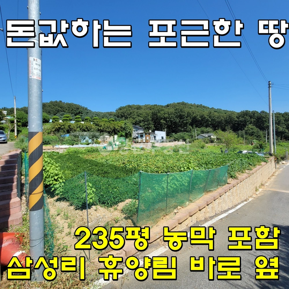 인천광역시 강화군 불은면 토지 사진 1