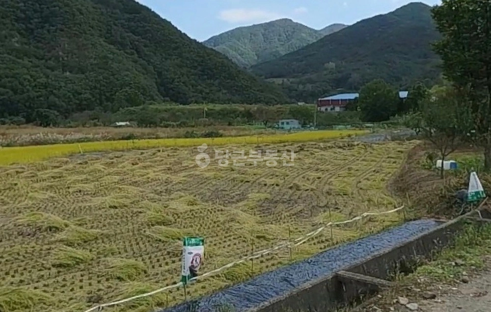대구광역시 달성군 가창면 토지 사진 1