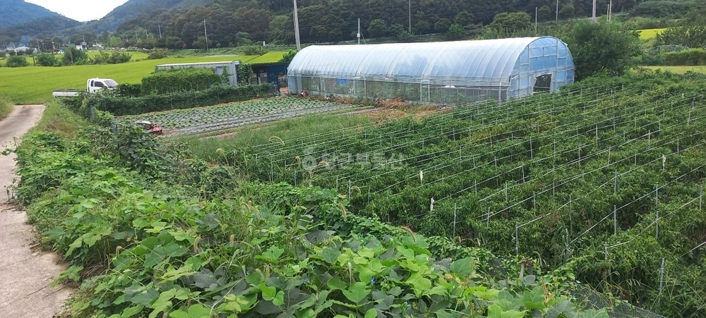 전북특별자치도 진안군 성수면 토지 사진 1