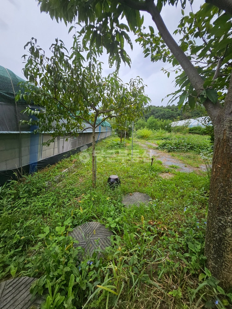경기도 수원시 장안구 하광교동 토지 사진 1