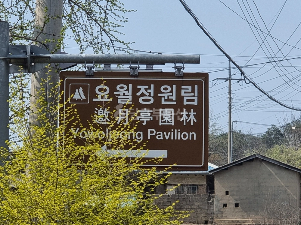 전남광주통합특별시 장성군 황룡면 토지 사진 1