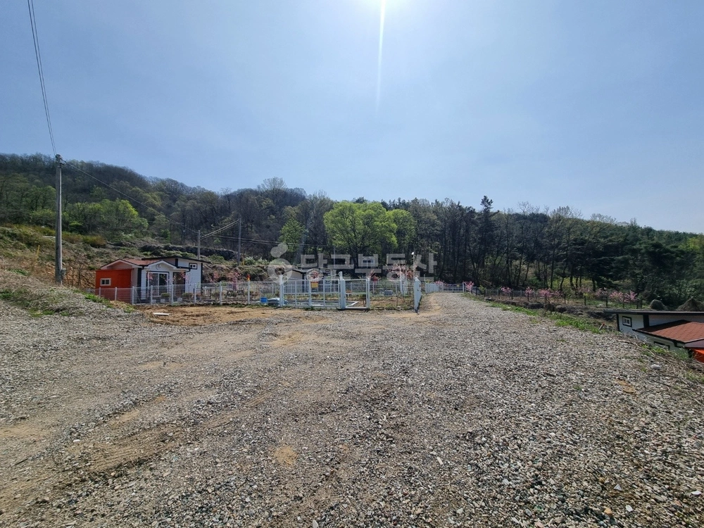 경상북도 성주군 월항면 토지 사진 1