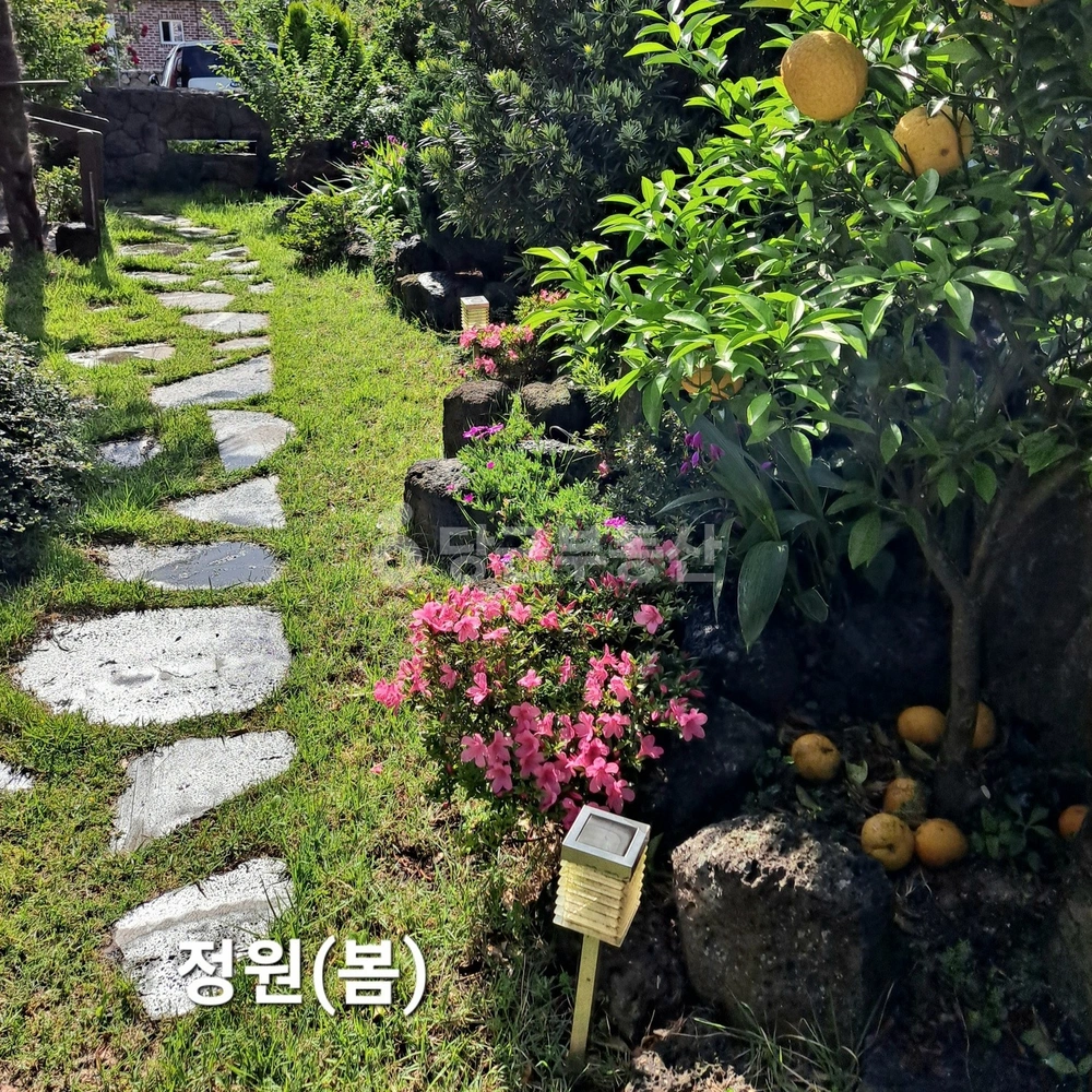 제주특별자치도 제주시 조천읍 단독/전원주택 사진 1
