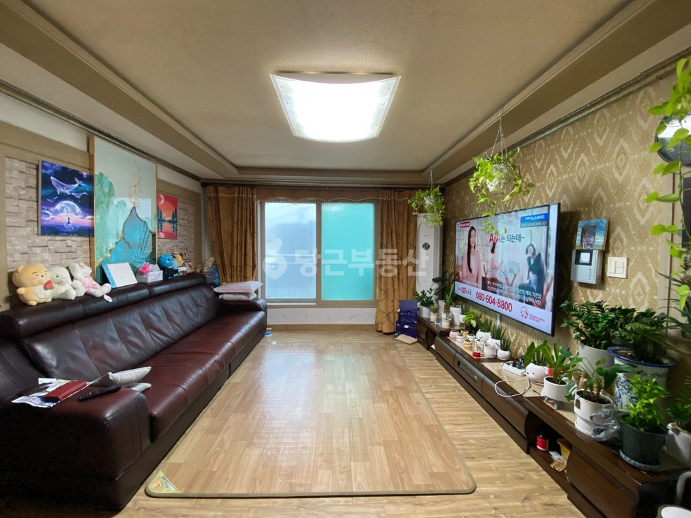 서울특별시 은평구 신사동 빌라(투룸 이상) 사진 1