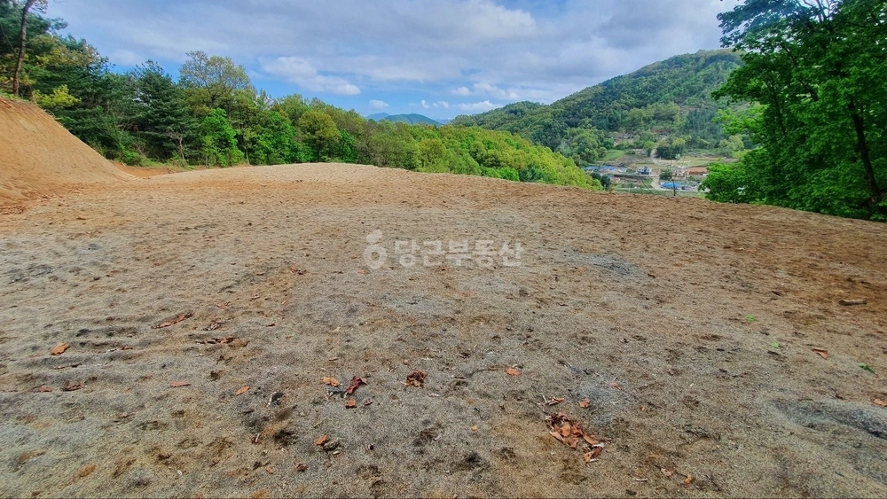 경기도 양평군 지평면 토지 사진 1