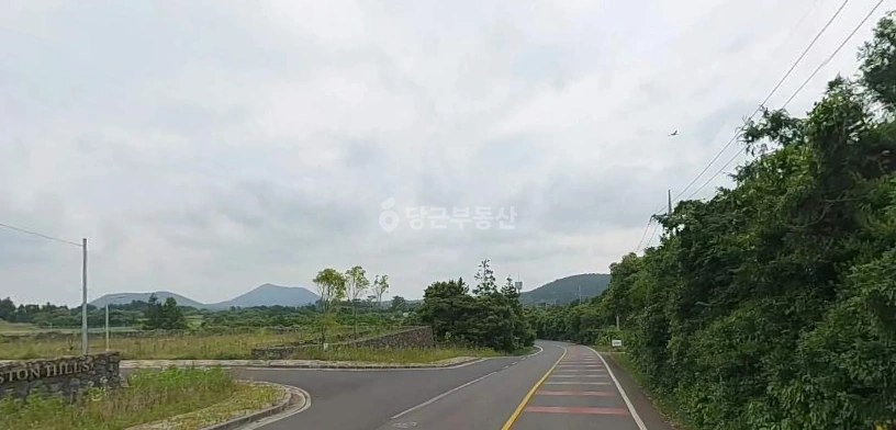제주특별자치도 제주시 구좌읍 토지 사진 1