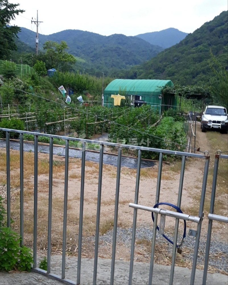 경상남도 김해시 대동면 토지 사진 1