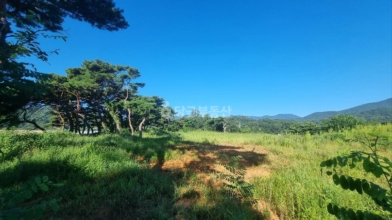 울산광역시 울주군 상북면 토지 사진 1