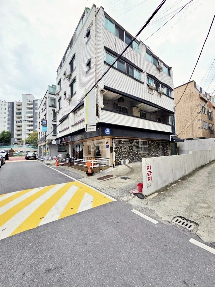 대전광역시 서구 갈마동 빌라(투룸 이상) 사진 1