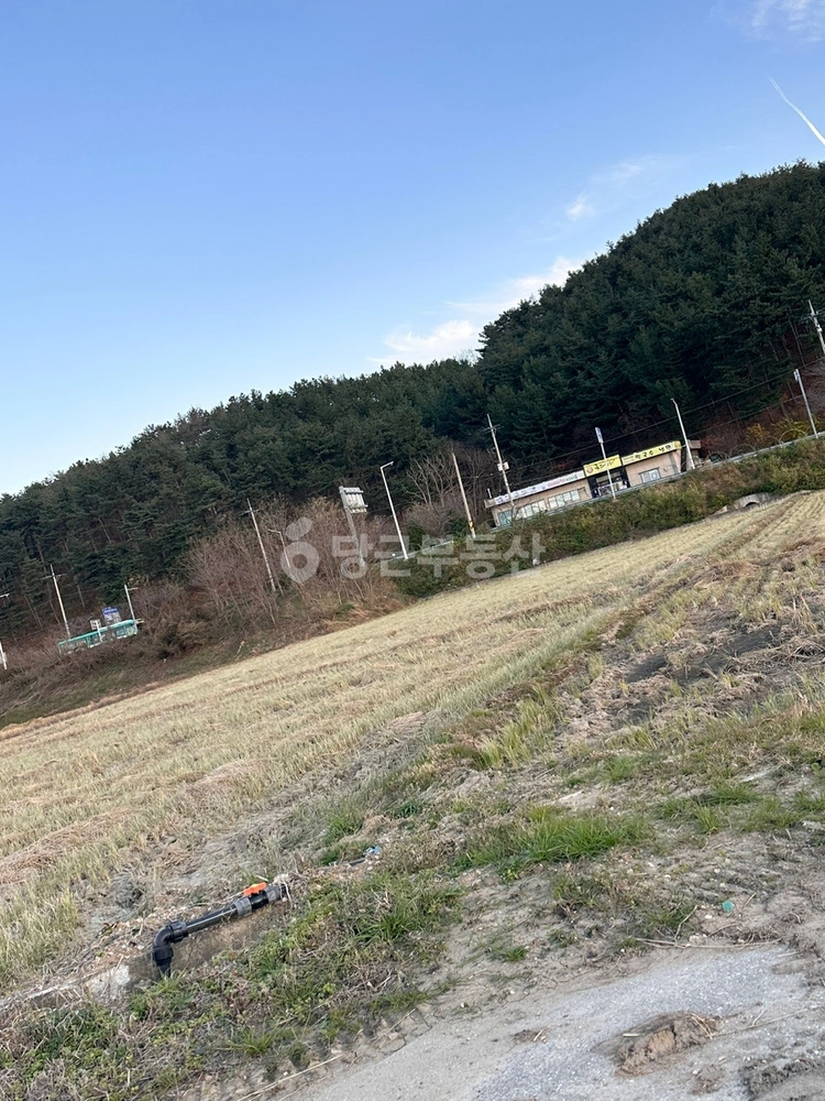 강원특별자치도 동해시 망상동 토지 사진 1