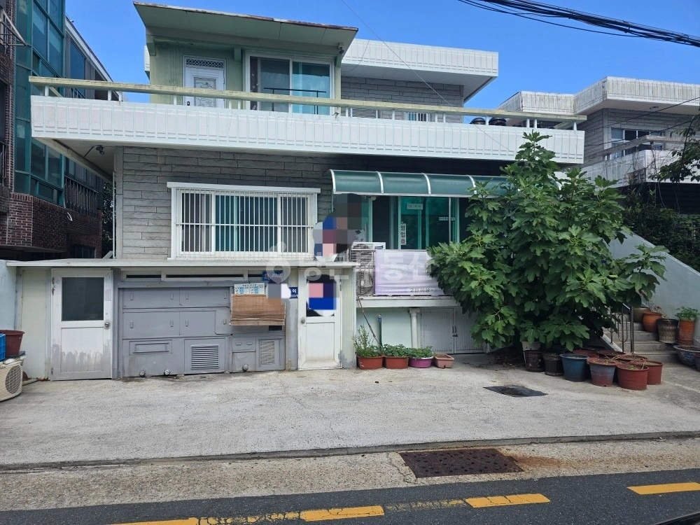 부산광역시 수영구 망미동 단독/전원주택 사진 1