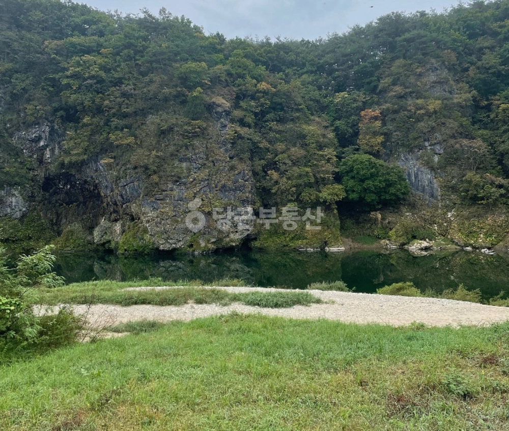 강원특별자치도 영월군 한반도면 토지 사진 1