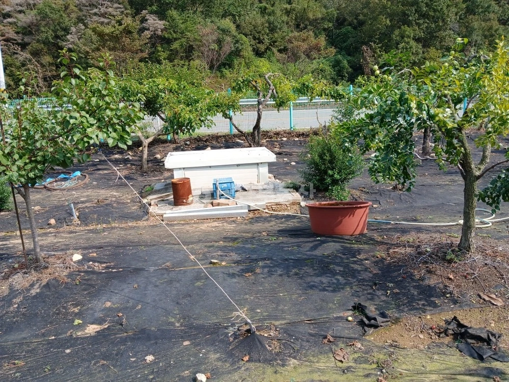 경상남도 밀양시 단장면 토지 사진 1