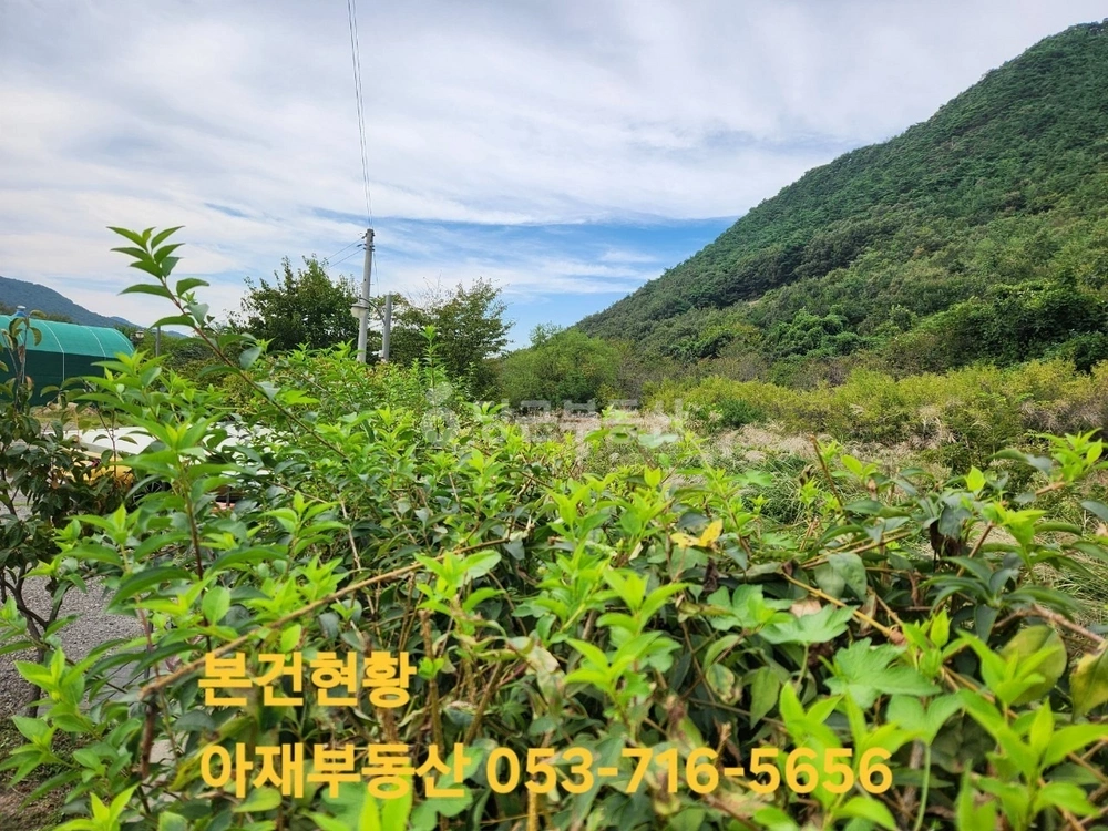 대구광역시 군위군 효령면 토지 사진 1