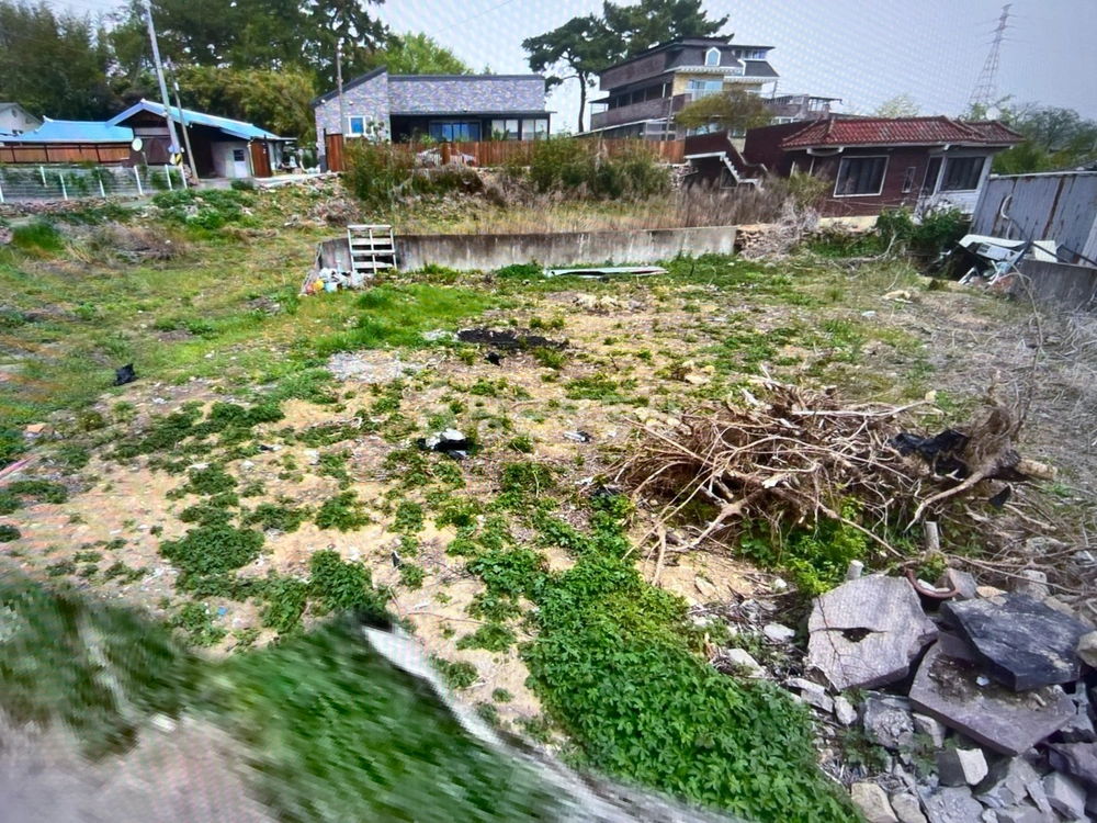 경상북도 고령군 다산면 토지 사진 1