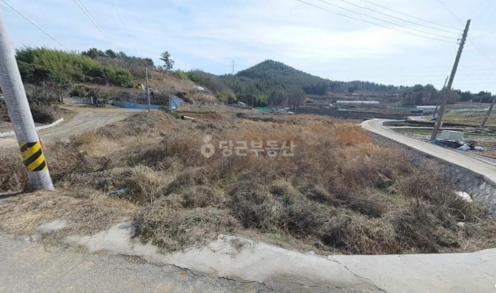 전남광주통합특별시 여수시 소라면 토지 사진 1