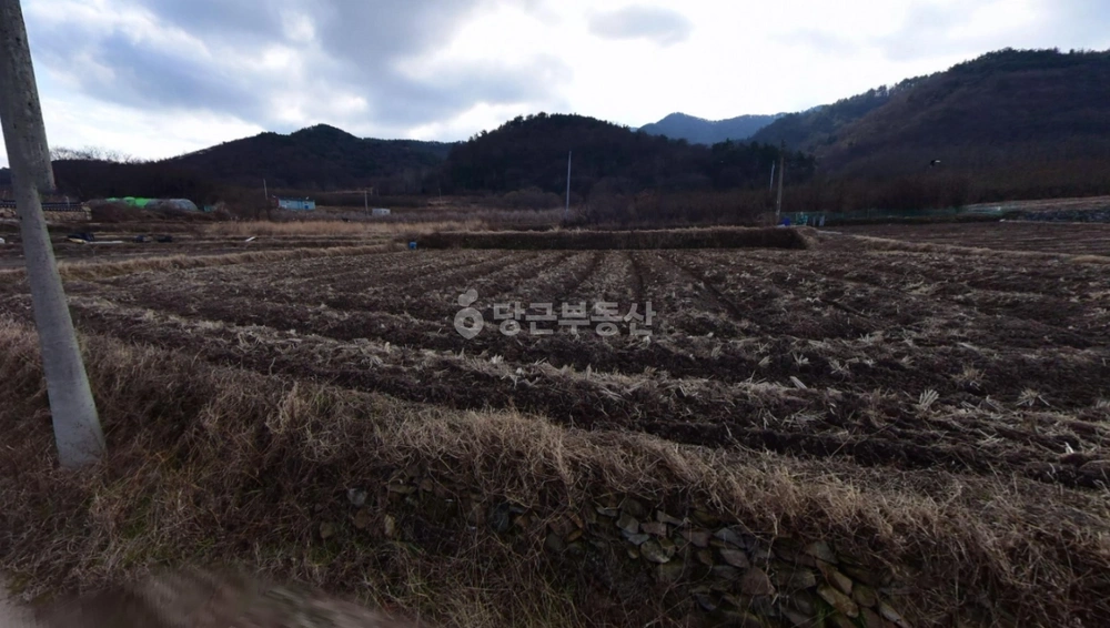 전남광주통합특별시 여수시 상암동 토지 사진 1