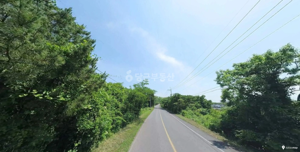 제주특별자치도 제주시 조천읍 토지 사진 1
