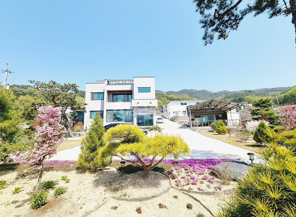 경상북도 김천시 아포읍 단독/전원주택 사진 1