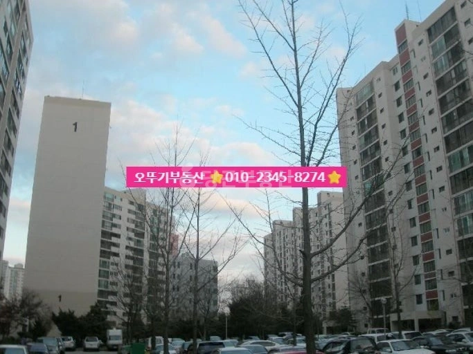 전북특별자치도 익산시 동산동 아파트 사진 1