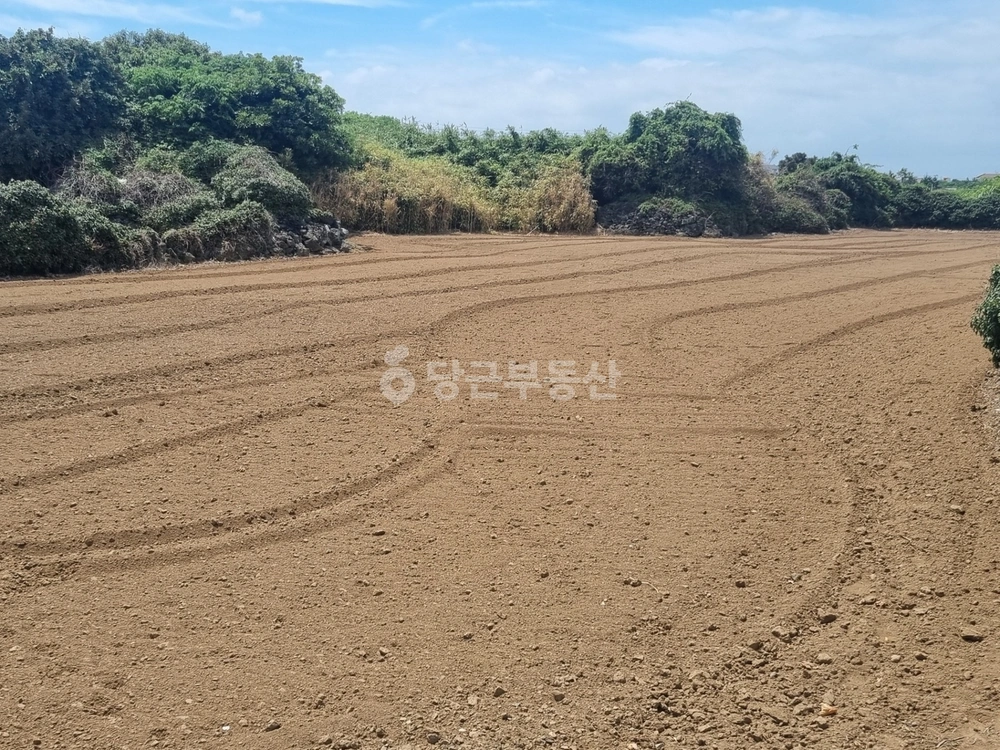 제주특별자치도 제주시 조천읍 토지 사진 1