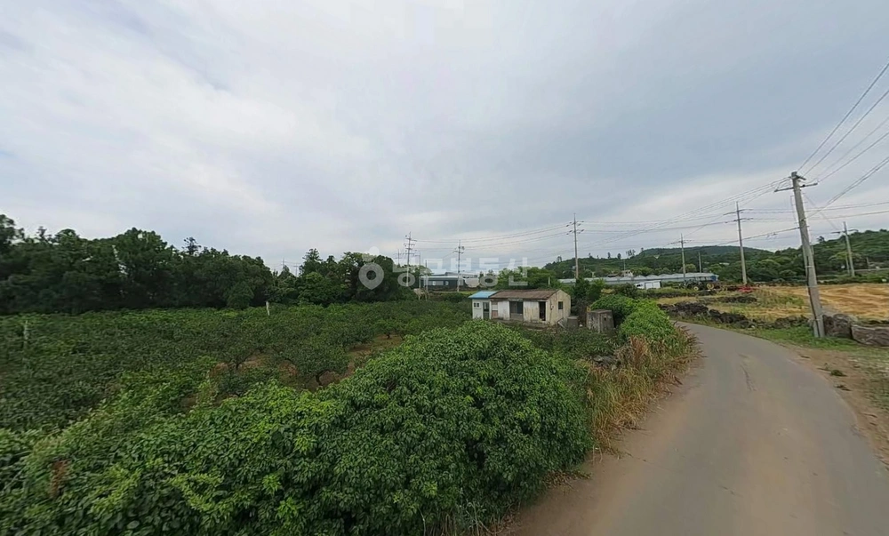 제주특별자치도 제주시 한경면 토지 사진 1