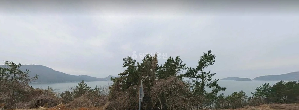 전남광주통합특별시 여수시 화양면 토지 사진 1