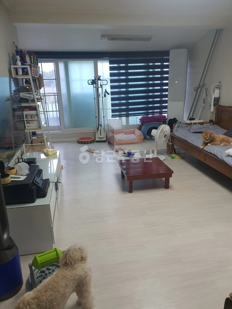 서울특별시 광진구 중곡동 빌라(투룸 이상) 사진 1
