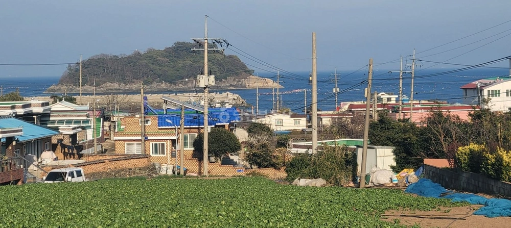 전남광주통합특별시 여수시 돌산읍 토지 사진 1