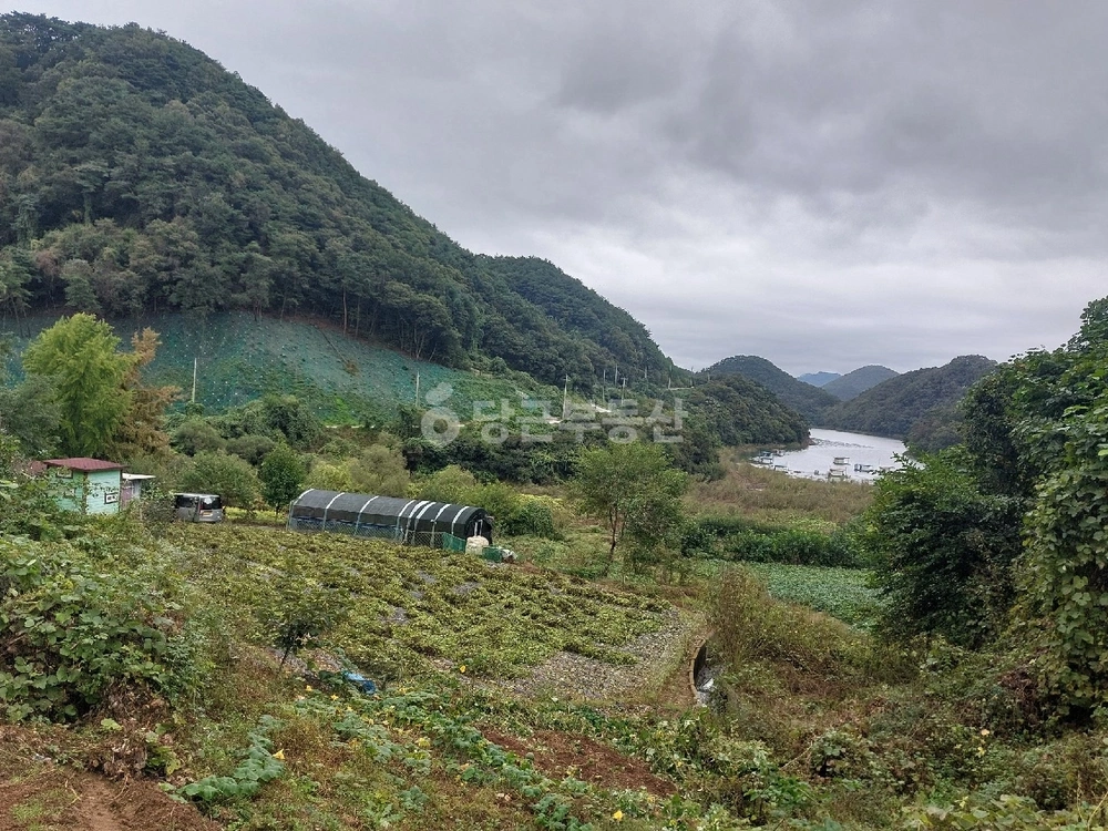 충청북도 제천시 청풍면 토지 사진 1