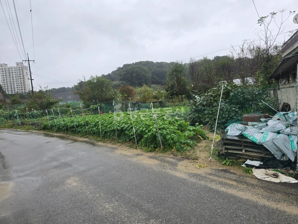 충청북도 청주시 흥덕구 옥산면 단독/전원주택 사진 1