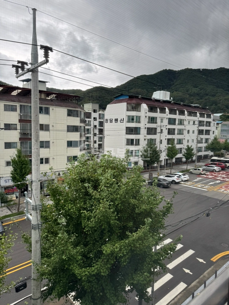 경상북도 구미시 형곡동 빌라(투룸 이상) 사진 1