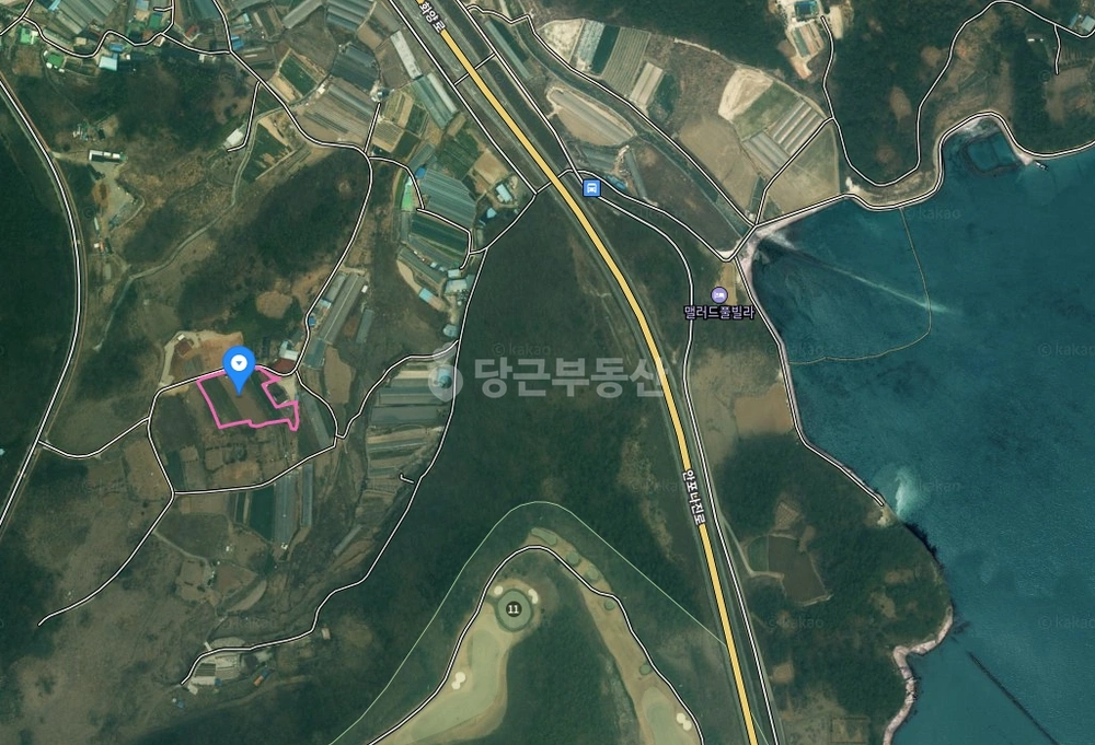 전남광주통합특별시 여수시 화양면 토지 사진 1