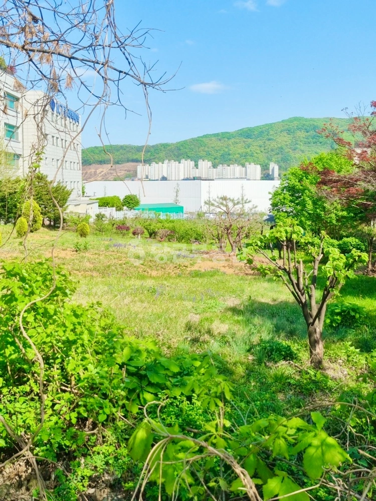 경기도 광주시 역동 토지 사진 1