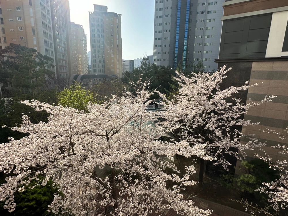 대구광역시 수성구 사월동 아파트 사진 1