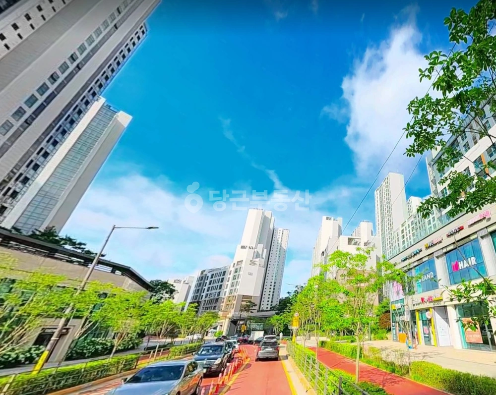 서울특별시 강남구 개포동 아파트 사진 1