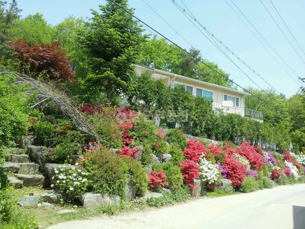 경기도 파주시 광탄면 단독/전원주택 사진 1