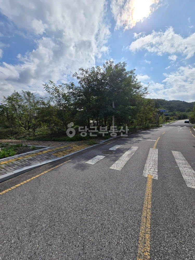 대구광역시 동구 숙천동 토지 사진 1