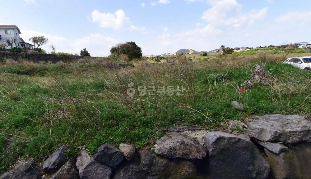 제주특별자치도 제주시 조천읍 토지 사진 1