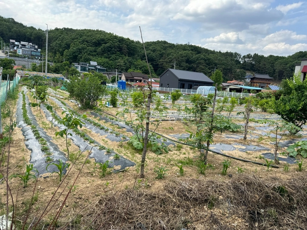 경상북도 구미시 선기동 토지 사진 1