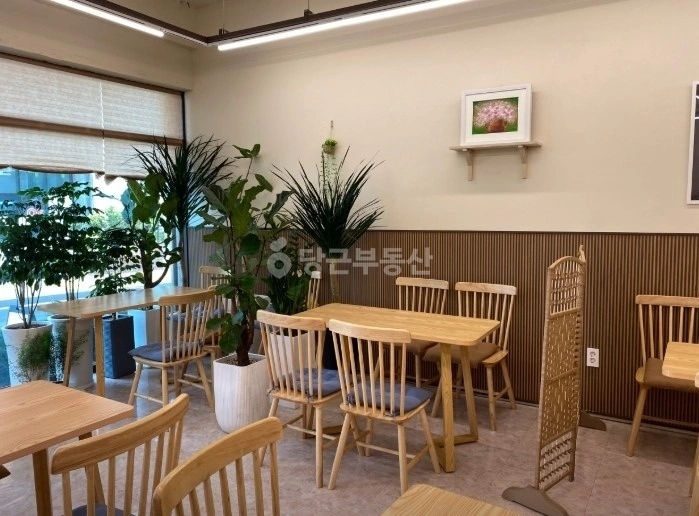 제주특별자치도 제주시 노형동 상가 사진 1