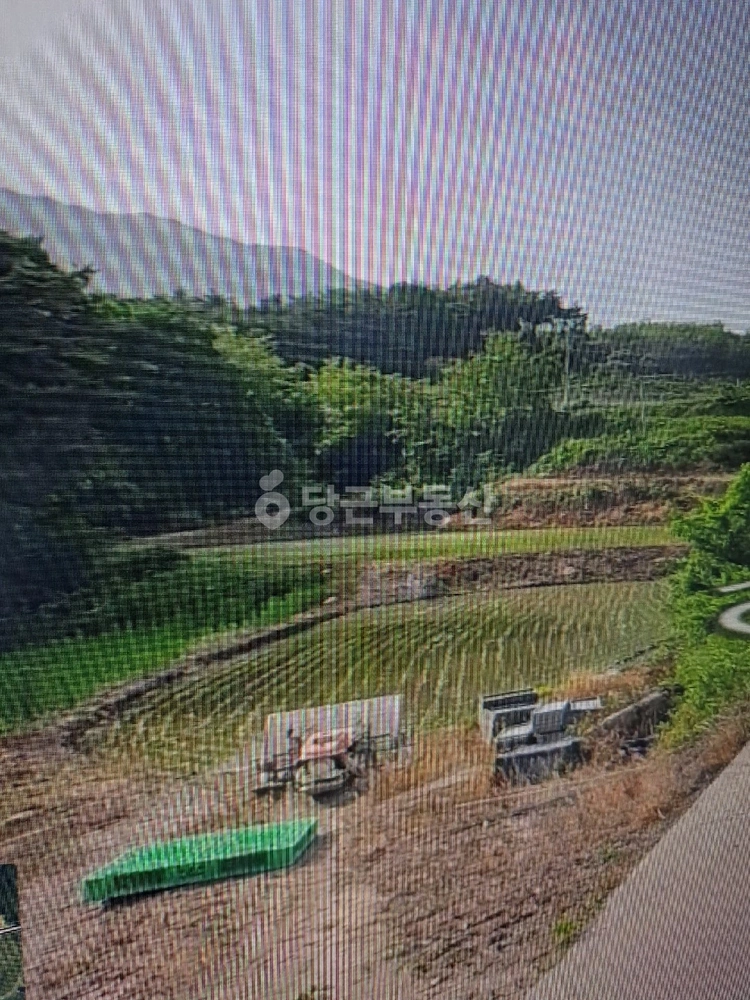 경상북도 영주시 장수면 토지 사진 1