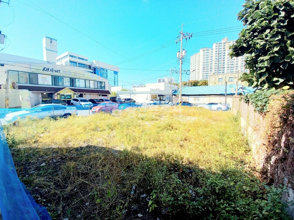 전남광주통합특별시 남구 방림동 토지 사진 1