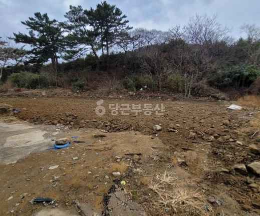 경상북도 영덕군 병곡면 토지 사진 1