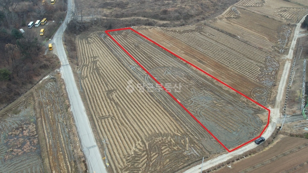 경기도 이천시 장호원읍 토지 사진 1