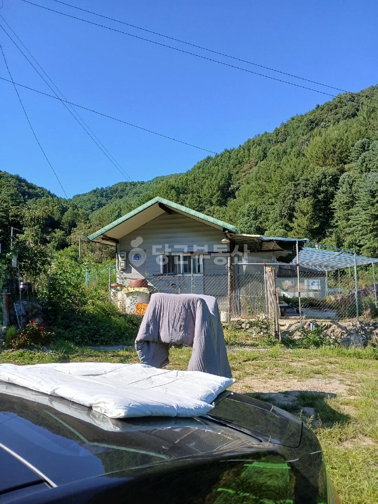 강원특별자치도 원주시 신림면 토지 사진 1