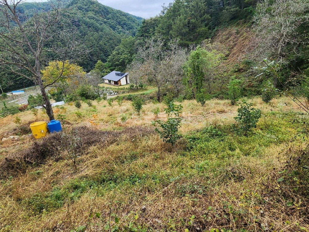 경상북도 김천시 부항면 토지 사진 1